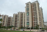 Nhà ở giá rẻ thịnh hành năm 2014